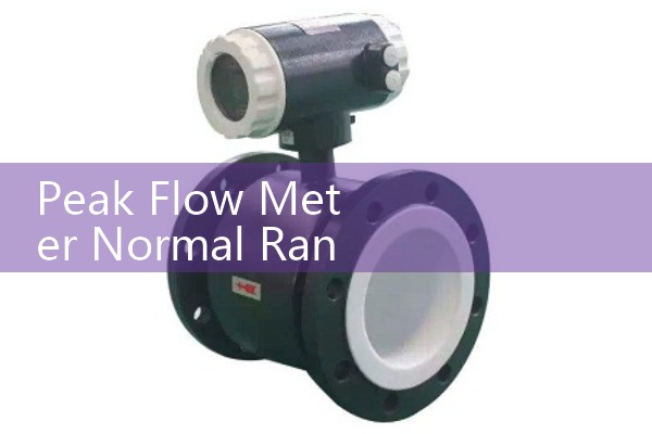 piston flow meter